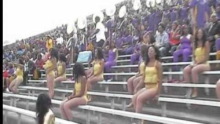 Alcorn Homecoming 2011 ~ Stay Fly