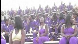 Alcorn vs MVSU 2011 ~ Drumline