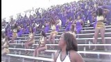 Alcorn vs MVSU 2011 ~ Mr. Biggz