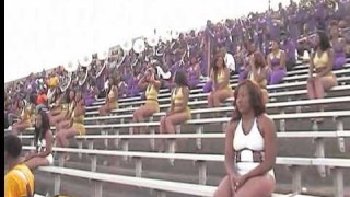 Alcorn vs MVSU 2011 ~ Stay Fly