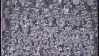 B-CC 2005 “Hovi Baby”