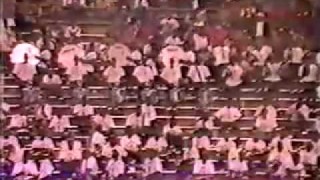 Southern University in the stands (1992)