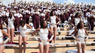 Texas Southern (2010) – Neck