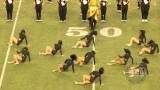 Alabama State – Stingettes – Honda Battle of the Bands 2014