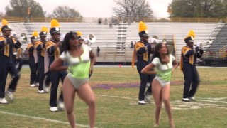 NCA&T Blue and Gold Marching Machine 2013 Halftime show vs SSU