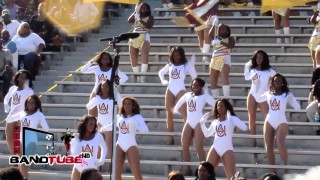 Magic City Classic: Alabama A&M Lovely Day (2014)