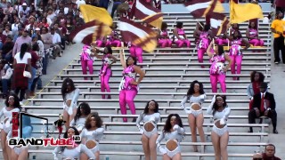 Magic City Classic: Alabama A&M Partition (2014)