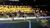 Southern University Human Jukebox “No Flex Zone” @ Bayou Classic BOTB 2014